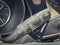 2020 Buick Envision Premium