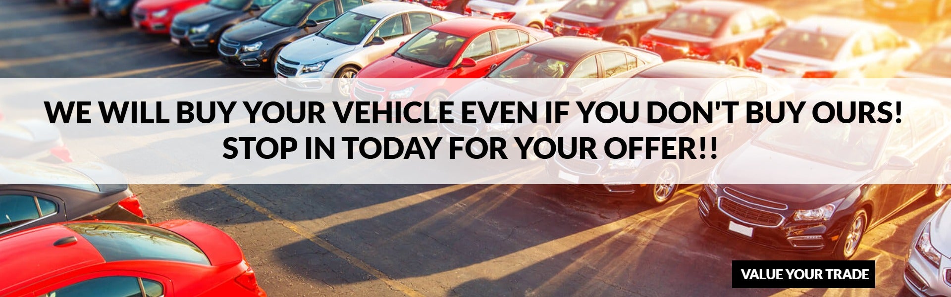 We Will Buy Your Vehicle Even If You Don't Buy Ours!
